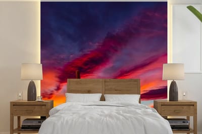 Behang - Fotobehang Cactus - Lucht - Zonsondergang - Paars - Roze - Breedte 220 cm x hoogte 220 cm