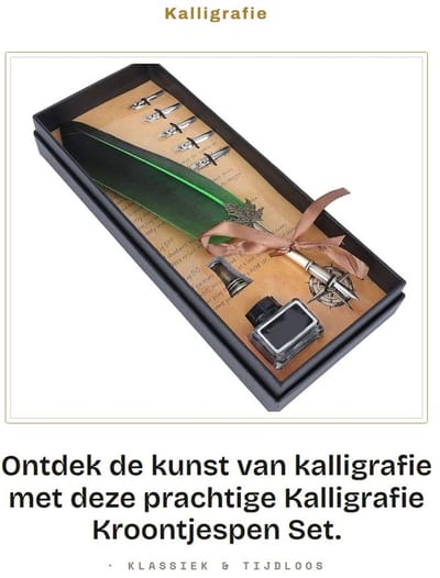 Dailygoods- Kalligrafiepen Vintage - Veren Pen - Roestvrijstalen Punt - Kalligrafiepennen Set - Geschenkdoos - Elegant Schrijfgereedschap - Verenpen
