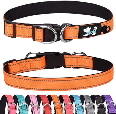 Byshayne- Halsband Gewatteerd - Verstelbaar - Reflecterend - Neopreen - Maat Large (38-60 cm) - Comfortabel voor Honden - Hondenhalsband
