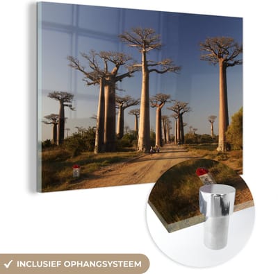 ® Glasschilderij 180x120 cm - Schilderij acrylglas - Uitzicht op onverharde weg genaamd Baobab Alley bij de Afrikaanse baobab bomen - Foto op glas - Muurdecoratie woonkamer - Wanddecoratie slaapkamer - Schilderijen