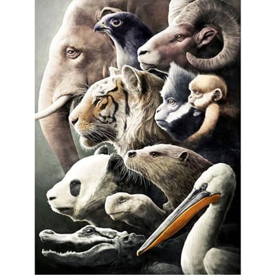 Diamond Craft schilderij dier mobilisatie diamant borduurwerk ambachtelijke schilderij dier Diamond Wall Art 20X30CM gray