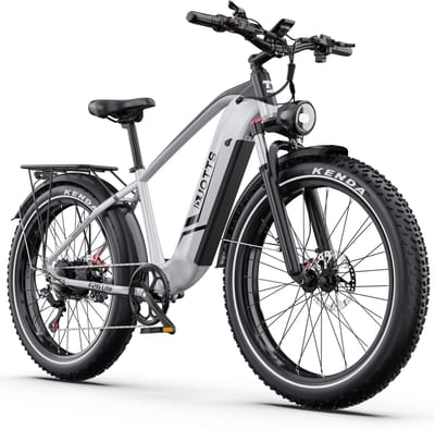 Elektrische Fiets DUOTTS - 864Wh/18 Ah Accu - 100 km Bereik - 250W Motor - 26x4 Inch Banden - Shimano 7 Versnellingen - Aluminium Frame - Inclusief Bagagedrager - Elektrische Mountainbike - zilver