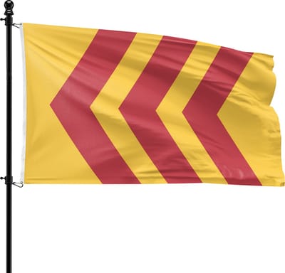 VlagDirect - Voorst vlag - Gemeente Voorst vlag - 90 x 150 cm.