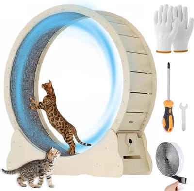 Thuys – Katten Loopwiel – Kattenwiel – Looprad Kat – Loopband – Cat Wheel – Exercise – Kattenspeelgoed – Massief Hout – Complete Set – Houtlook