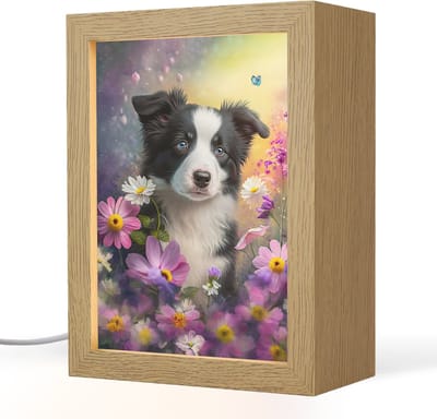 Nachtlampje 15x20 cm - Kinder lampje - Hond - Bloemen - Natuur - Puppy - Bordercollie - Tafellamp kinderkamer - Slaapkamer lamp - Bedlamp kinderen - Kinderlampje stopcontact - Wandlamp babykamer - Nachtlampjes