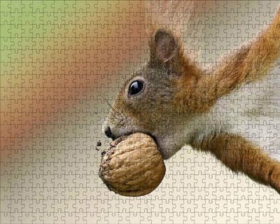 Houten Puzzel - 1000 Stukjes - Ontspanning Thuis - Precisie Gesneden - 75x50cm - Gekleurd