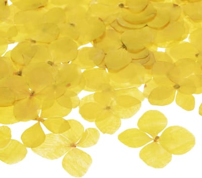 60 Dried Pressed Flowers voor Resin, Natuurlijke Bloemen voor Creatieve Projecten, DIY Sieraden, Zeep, Scrapbooking en Kaarsen