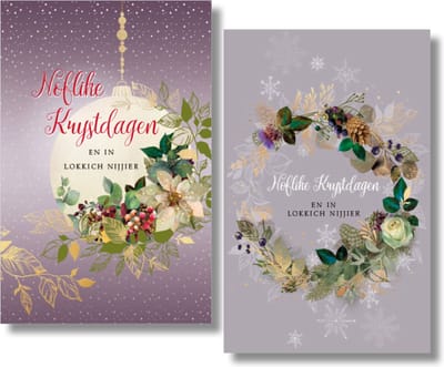 MGPcards - 20 Luxe dubbele wenskaarten - Friese tekst - Kerstkaarten / Nieuwjaar - Foliebewerking - Witte envelop - 10.5 x 16 cm - 2 Motieven per doosje