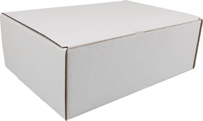 SendProof® Postpakketdoos | golfkarton | 302x215x105mm | gestanst | wit | 25 stuks