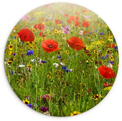 WallCircle® Wandcirkel 150x150 cm - Muurcirkel Lente - Bloemen - Rood - Klaproos - Gras - Groen - Muurdecoratie woonkamer - Wanddecoratie slaapkamer - Kamer decoratie accessoires - Ronde schilderijen