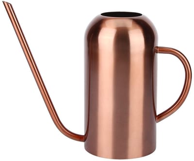 Dailygoods- Gieter 1,5 liter - Roestvrij staal - Tuingieter - Lange uitloop - Ergonomisch ontwerp - Geschikt voor vetplanten - Plantenbewateringscan