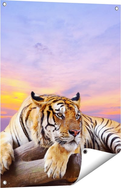 Gards Tuinposter Tijger tijdens Zonsondergang - 60x80 cm - Tuindoek - Tuindecoratie - Wanddecoratie buiten - Tuinschilderij