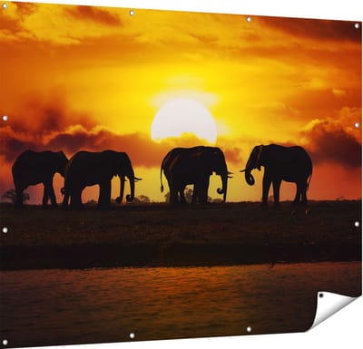 Gards Tuinposter Silhouet Olifanten tijdens Zonsondergang - 150x120 cm - Tuindoek - Tuindecoratie - Wanddecoratie buiten - Tuinschilderij