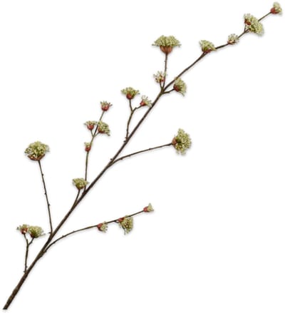 Silk-ka Kunstbloem-Zijde Bloemen Dogwood tak Creme-Groen 122 cm