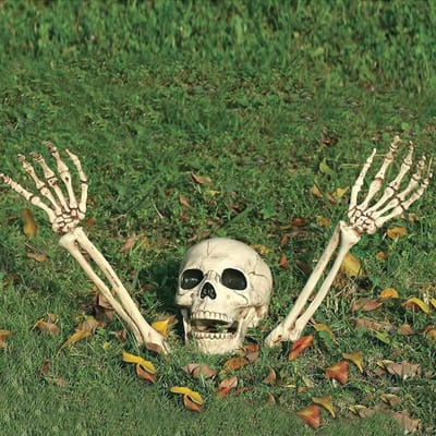 Nep Skelet Hoofd en Handen Decoratie voor Halloween - 3 Stuks Trucl