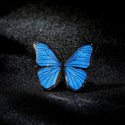 Hoogwaardige Emaille Vlinder Broche, Vrouwelijke Persoonlijkheid, Exquise en Veelzijdige Corsage Jas, Cardigan Pakspeld black