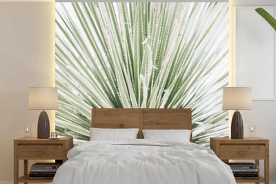 Behang - Fotobehang Groen - Bladeren - Natuur - Breedte 280 cm x hoogte 280 cm