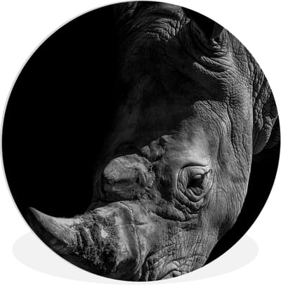 WallCircle® Wandcirkel 30x30 cm - Muurcirkel Close-up neushoorn op zwarte achtergrond in zwart-wit - Muurdecoratie woonkamer - Wanddecoratie slaapkamer - Kamer decoratie accessoires - Ronde schilderijen