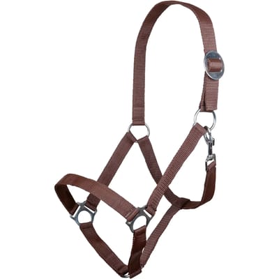 Halster voor paarden HKM Stars Economy