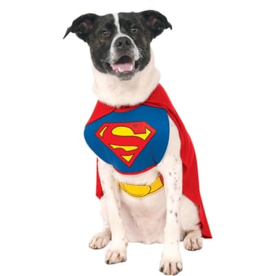 Superman hondenkostuum L