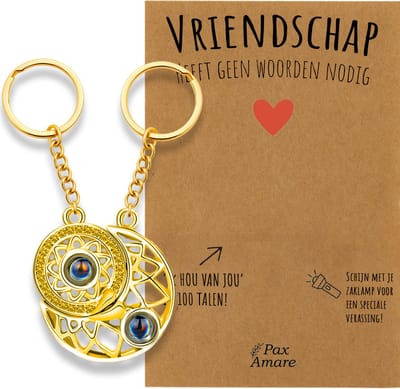 BFF Sleutelhanger voor 2 'Vriendschap heeft geen woorden nodig' - Rondjes ILY IN 100 TALEN - Sleutelhanger set op Cadeau Kaartje - Goudkleurig - Vriendschap Symbool - Pax Amare