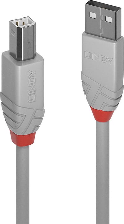 Lindy Usb-Kabel 2.0 Kabel Voor Laptop, Computer, Scanner En Printer 2M Antra