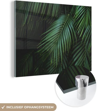 MuchoWow® Glasschilderij 40x30 cm - Schilderij acrylglas - Palmbladeren - Palmen - Tropical - Foto op glas - Schilderijen