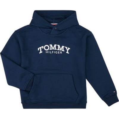 Tommy Hilfiger  Capuchon sweaters MONOTYPE PRINT HOODIE