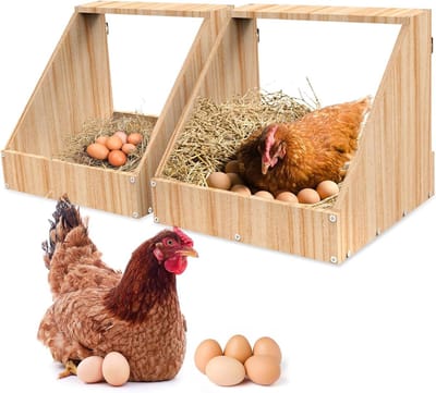 Solidchoice - Houten Kippenlegnest, Set van 2 met Waterdichte Verf, Eenvoudig te Reinigen