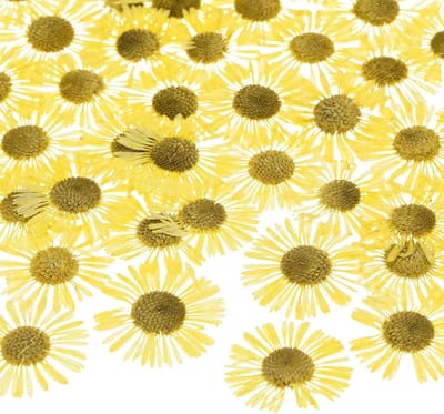 Allecto- Gedroogde geperste bloemen - Knutselen - Natuurlijke bloemen - Geel - DIY - Resin - Decoratie - Geschikt voor Hars - Fotolijst - Set van 12 gedroogde geperste bloemen voor knutselen en decoreren met echt natuurlijke bloemen- geel.