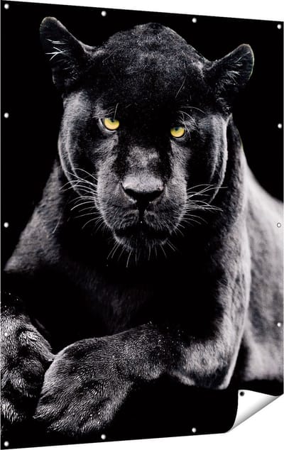 Gards Tuinposter Zwarte Panter - 120x160 cm - Tuindoek - Tuindecoratie - Wanddecoratie buiten - Tuinschilderij