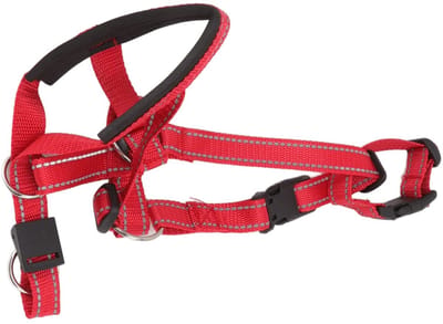 Dailygoods - Halster met Veiligheidsriem voor Honden, Verstelbare Gewatteerde Halsband, Anti-Trek Systeem, voor Kleine, Middelgrote en Grote Honden, Rood