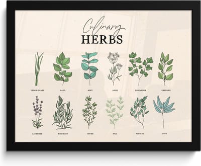 Fotolijst inclusief poster - Posterlijst 40x30 cm - Posters - Kruiden - Planten - Herbs - Groen - Vintage - Foto in lijst - Keuken decoratie muur - Wanddecoratie accessoires - Muurdecoratie - Schilderijen