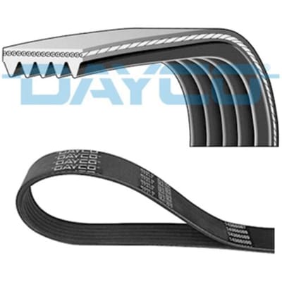 V-ribbelriem DAYCO 5PK1960S