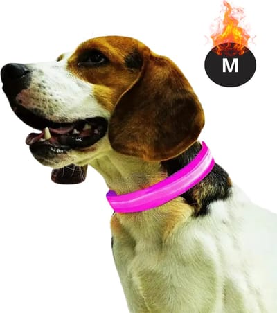 Bovista Lichtgevende Halsband - Verlichte Halsband - Lichtgevend - Hond - Kat - Lampje - Hondenhalsband Led - Oplaadbaar - Glow In The Dark - Roze - M