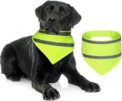 VHV - Honden bandana - Reflecterende bandana hond - Hondensjaal - Verstelbaar - Hoge zichtbaarheid - Reflecterend - Voor wandelen en kamperen - Veiligheid in het donker - Fluorescerend groen - S - 2 artikelen