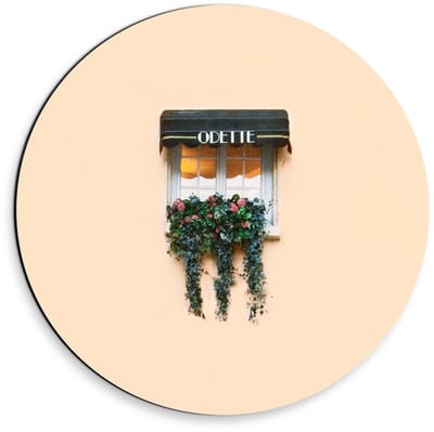 Dibond Wandcirkel - Raampje met Plantjes op Lichtroze Achtergrond - 30x30cm Foto op Aluminium Wandcirkel (met ophangsysteem)