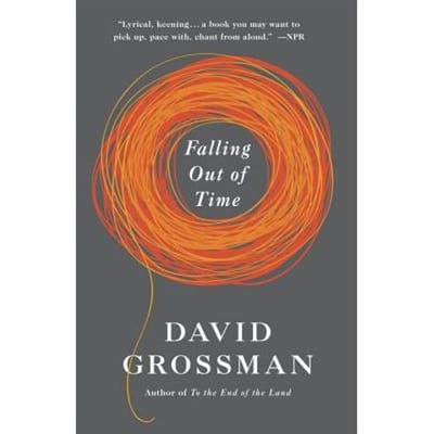 Falling Out Of Time - David Grossman