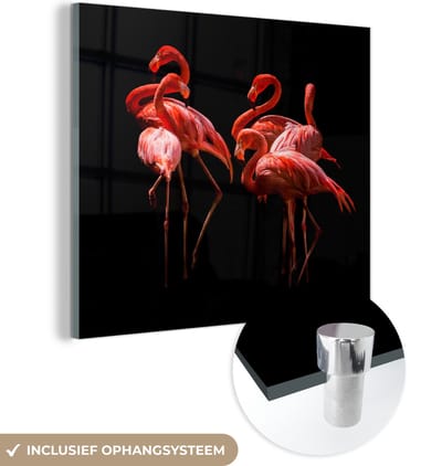 MuchoWow® Glasschilderij 50x50 cm - Schilderij acrylglas - Flamingo's - Vogels - Veren - Zwart - Foto op glas - Schilderijen