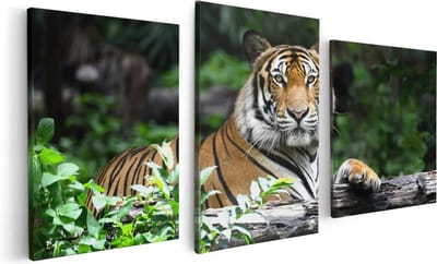 Artaza Canvas Schilderij Drieluik Tijger In Het Bos - 120x60 - Foto Op Canvas - Canvas Print