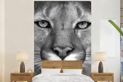 Behang - Fotobehang Panter - Wilde dieren - Zwart - Wit - Breedte 180 cm x hoogte 280 cm