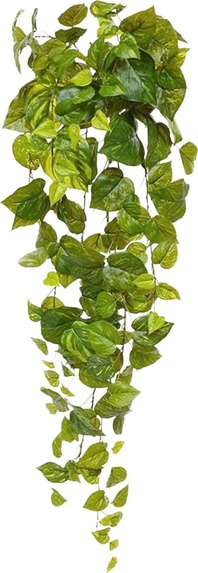 Pothos kunsthanger 90cm - bont
