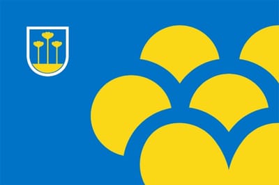 Vlag Zoetermeer 30x45cm