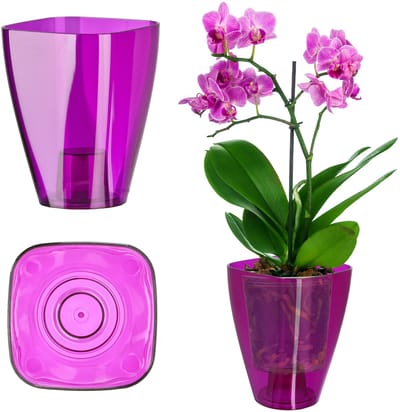 KADAX Bloempot, slanke orchideeënpot, eenvoudige plantenbak, bloempot voor orchidee, Moeras Madeliefjes, plantenbak voor keuken en woonkamer (? 9 cm, vierkant, pruim)
