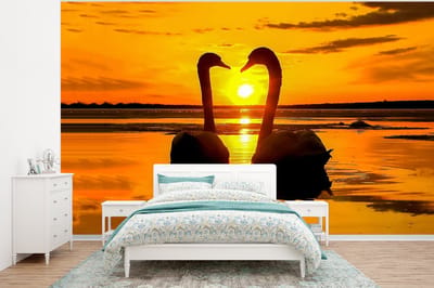 Behang - Fotobehang Zwanen - Zonsondergang - vogel - Oranje - Water - Breedte 350 cm x hoogte 260 cm