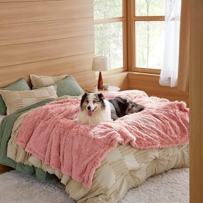 1 stuks Deken Populair Lang Pluche PV Velours Sherpa Huisdier Waterdicht Warme Deken Hond Verdikte Mat Kennel Mat 50x70CM