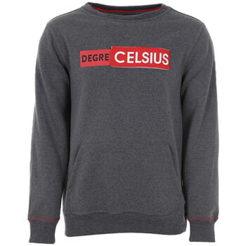 Sweaters Degré Celsius Sweat homme COLAK
