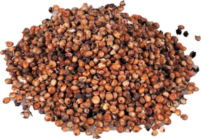 Reniers Fishing Rode Millocorn 1kg – Rode Dari Partikels voor Karper en Voermixen