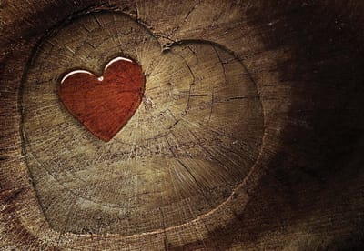 Fotobehang Heart Tree | XL - 208cm x 146cm | 130g/m2 Vlies