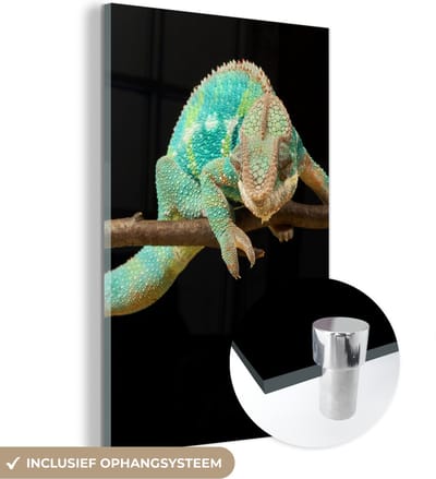 MuchoWow® Glasschilderij 120x180 cm - Schilderij acrylglas - Kameleon - Tak - Pastel - Foto op glas - Schilderijen